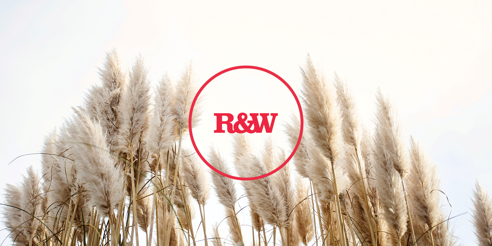 Mikaela Kokkin Mikaela Kokkin