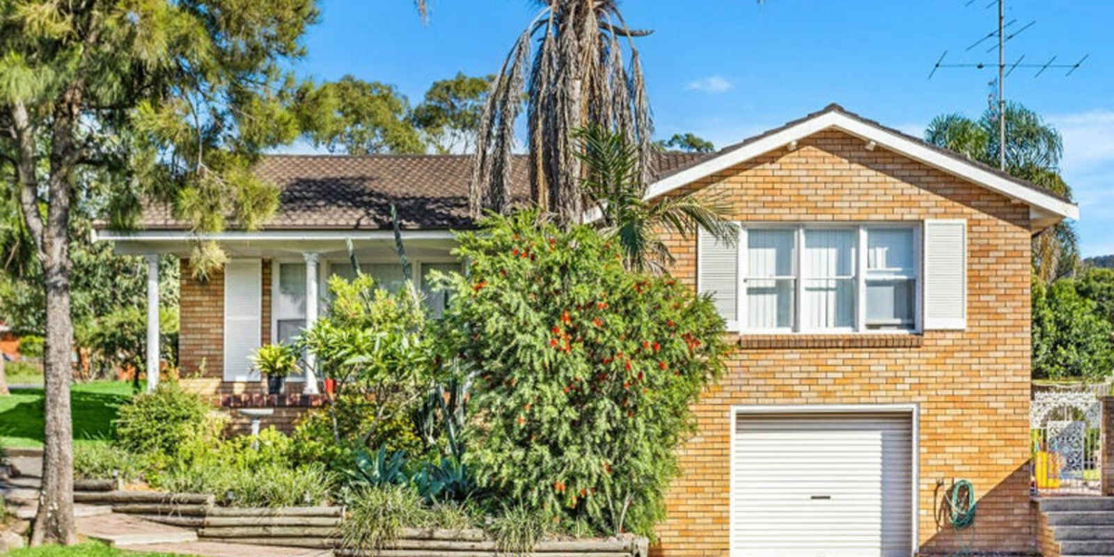 104 Bellevue Road Figtree