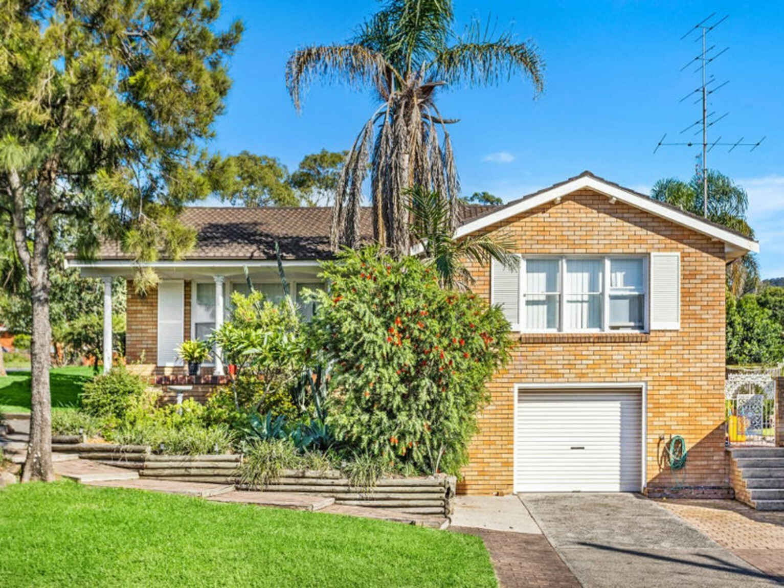 104 Bellevue Road Figtree